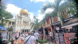 Kampong Glam Conservation Area (D7), Shop House #458160871